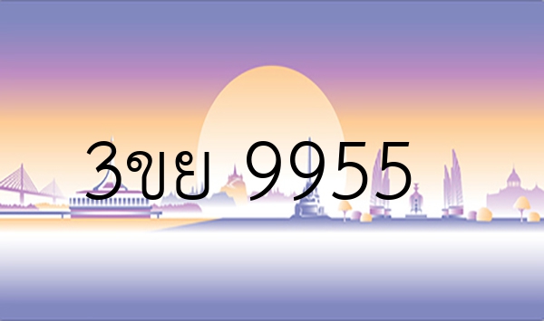 3ขย 9955